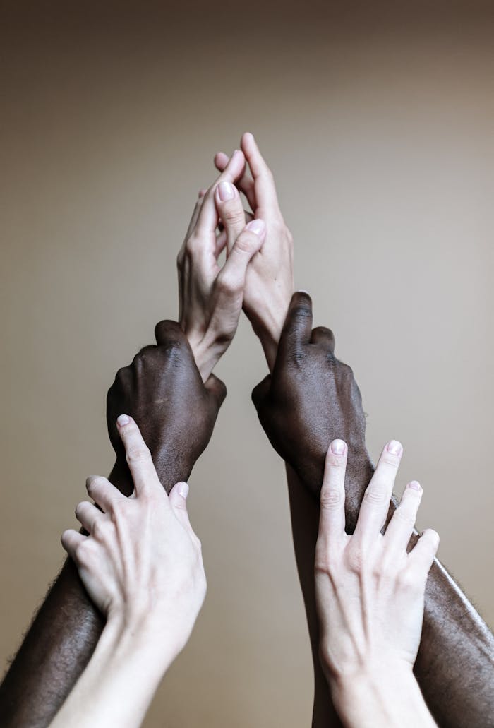 services-02 Multiple hands of different ethnicities reaching up, symbolizing unity and togetherness.